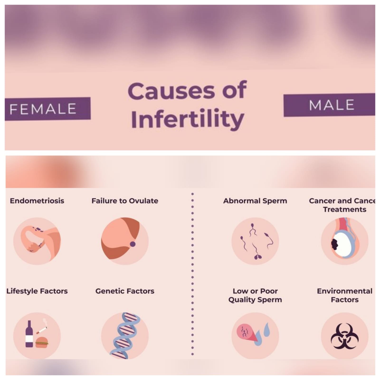 Infertility: Causes, Symptoms, Diagnosis, and Treatment