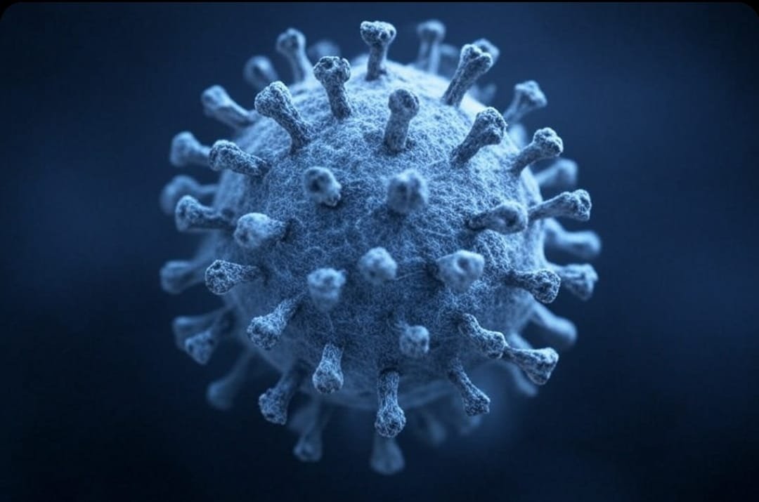 Human Metapneumovirus